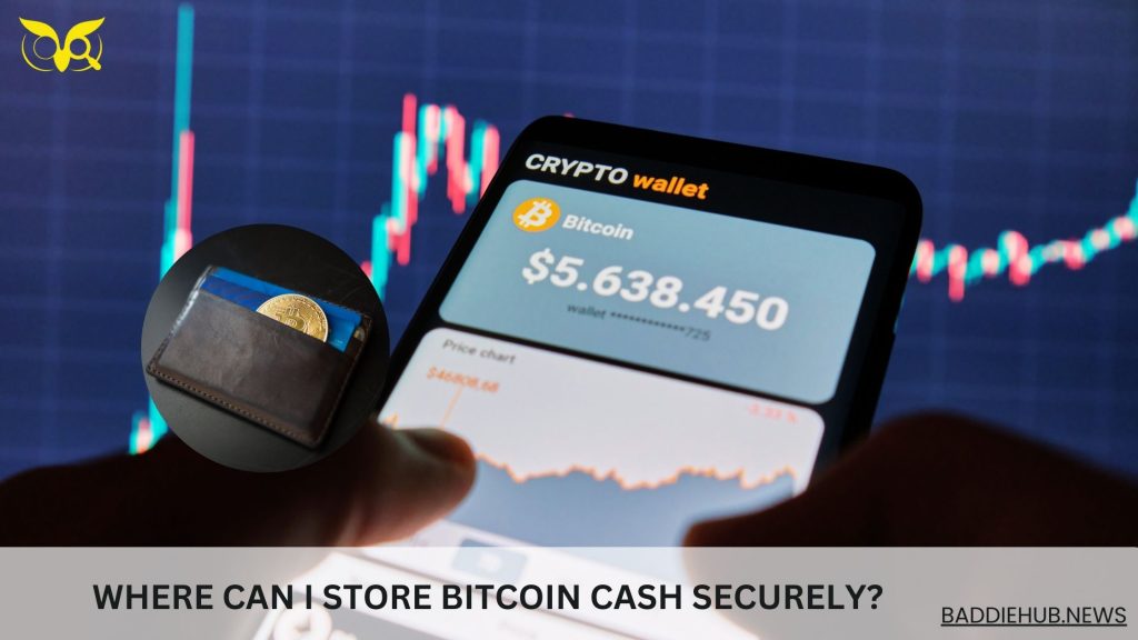 Where Can I Store Bitcoin Cash Securely