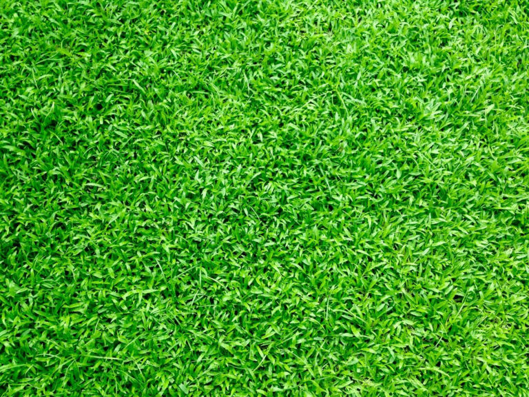What Makes 3G Artificial Grass Ideal for Football and Multi-Sport Use?